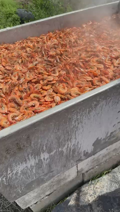 1 kg de Camarón seco de estero de tamaño GRANDE